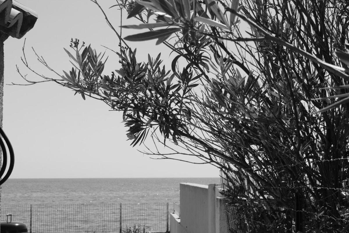 Bord De Mer, Pieds Dans L'Eau, Vue Panoramique San-Nicolao Exterior foto