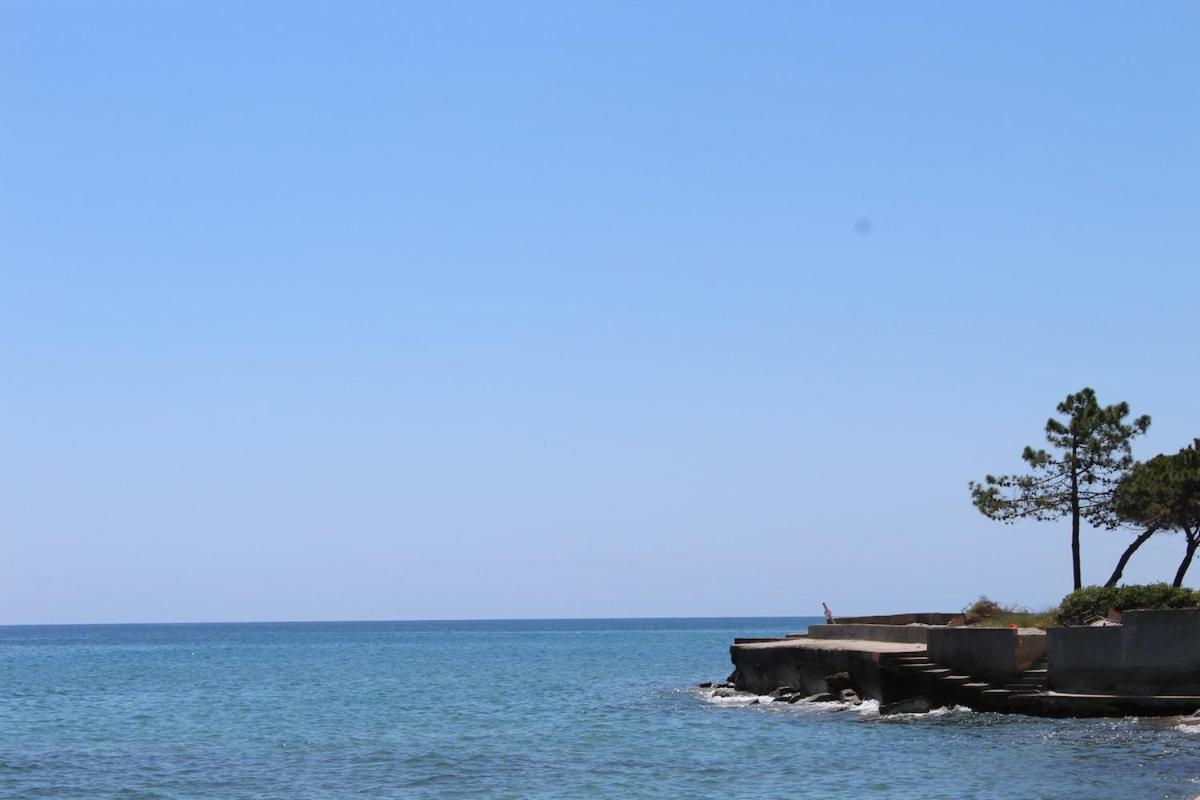 Bord De Mer, Pieds Dans L'Eau, Vue Panoramique San-Nicolao Exterior foto