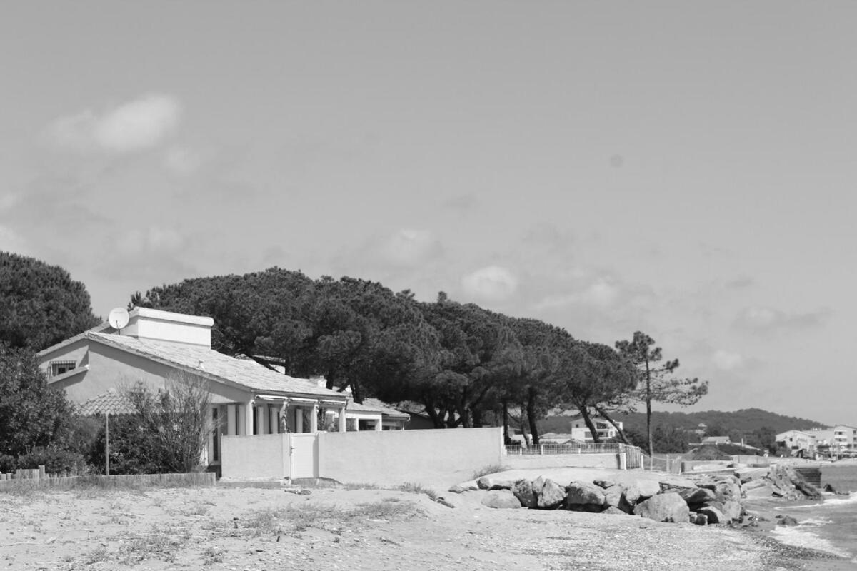 Bord De Mer, Pieds Dans L'Eau, Vue Panoramique San-Nicolao Exterior foto